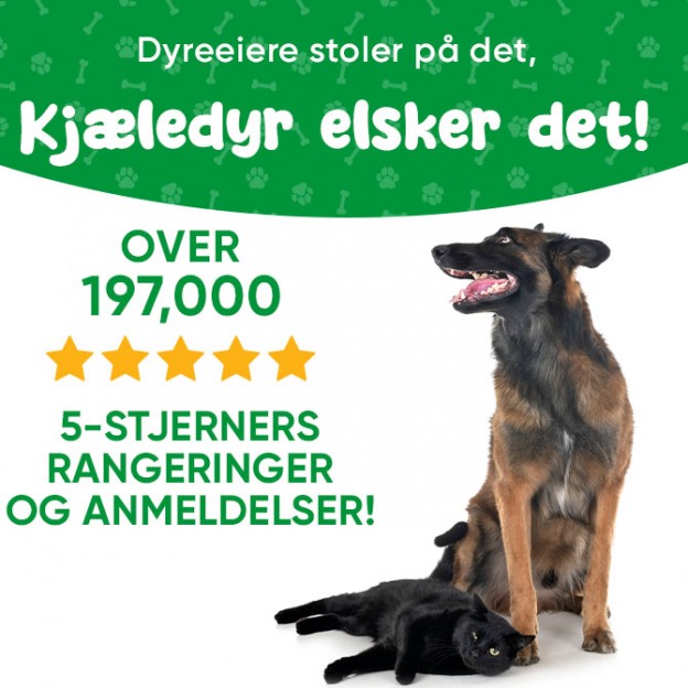 Pupex Ear Health Support | Out of Stock